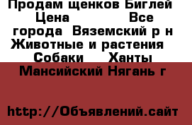 Продам щенков Биглей › Цена ­ 15 000 - Все города, Вяземский р-н Животные и растения » Собаки   . Ханты-Мансийский,Нягань г.